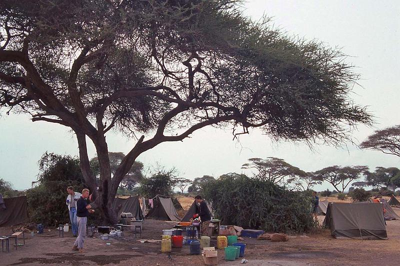 WT 1400 209-05 Kenya.jpg